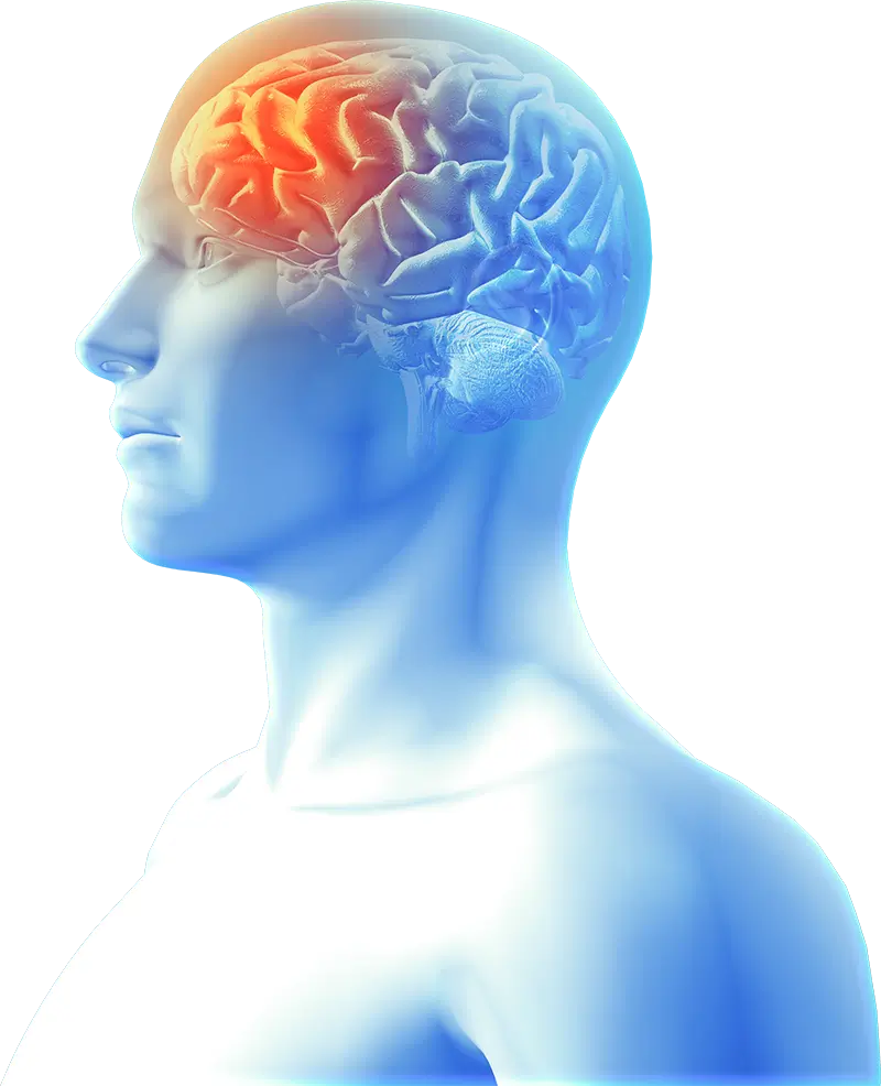Brain Surgery Hospital in Chandigarh