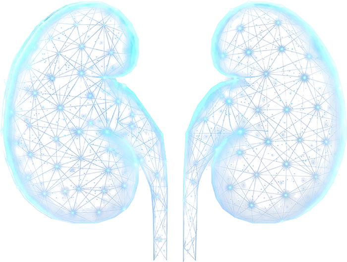 kidney transplant treatment mohali