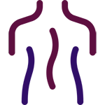 Spinal Cord AV Fistula Repair in mohali