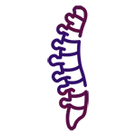 Spinal Fusion in Mohali